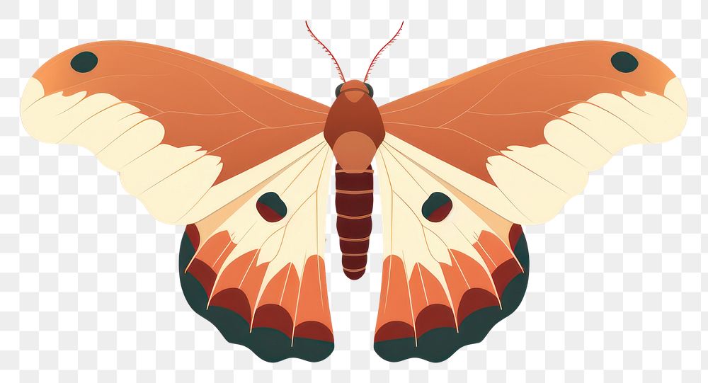 PNG Moth butterfly animal insect. AI generated Image by rawpixel.