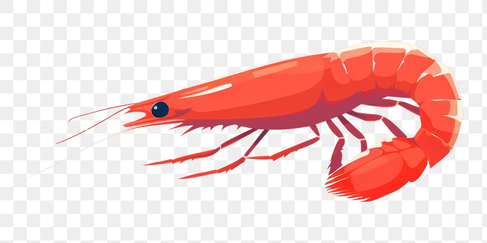 PNG Seafood animal shrimp fish. AI generated Image by rawpixel.