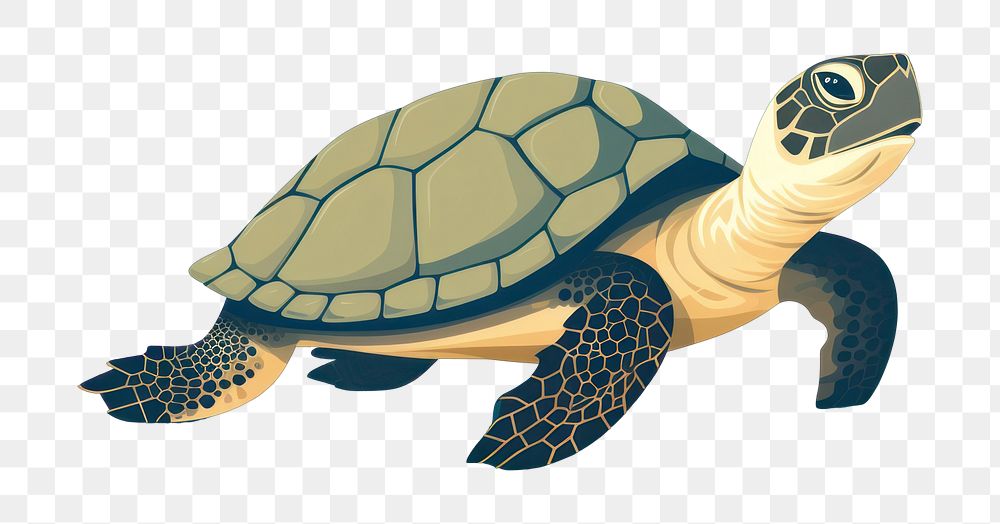 PNG Turtle reptile animal wildlife. AI generated Image by rawpixel.