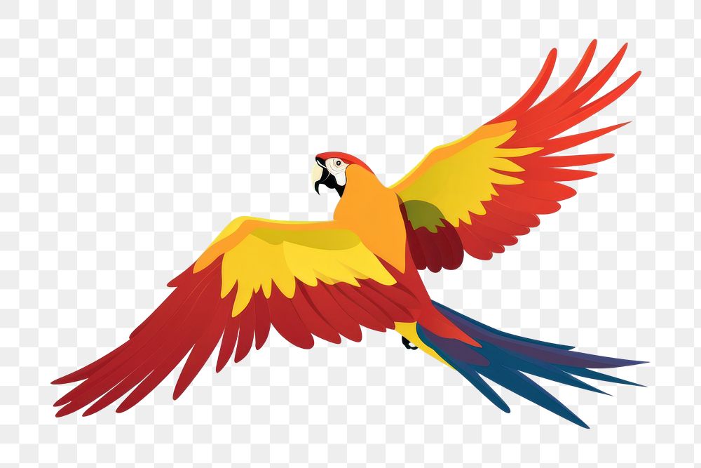 PNG Parrot animal bird wing. AI generated Image by rawpixel.