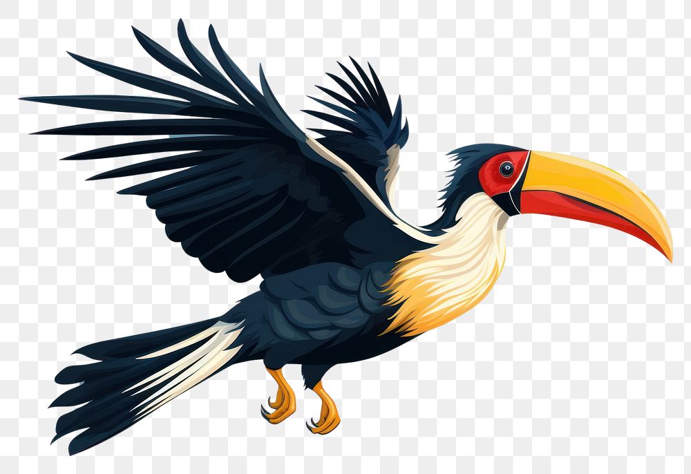 PNG Hornbill animal toucan bird