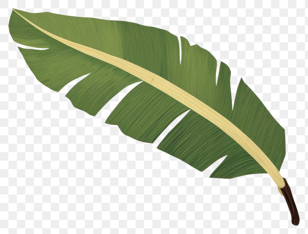 PNG Banana leaf plant art vegetation. AI generated Image by rawpixel.