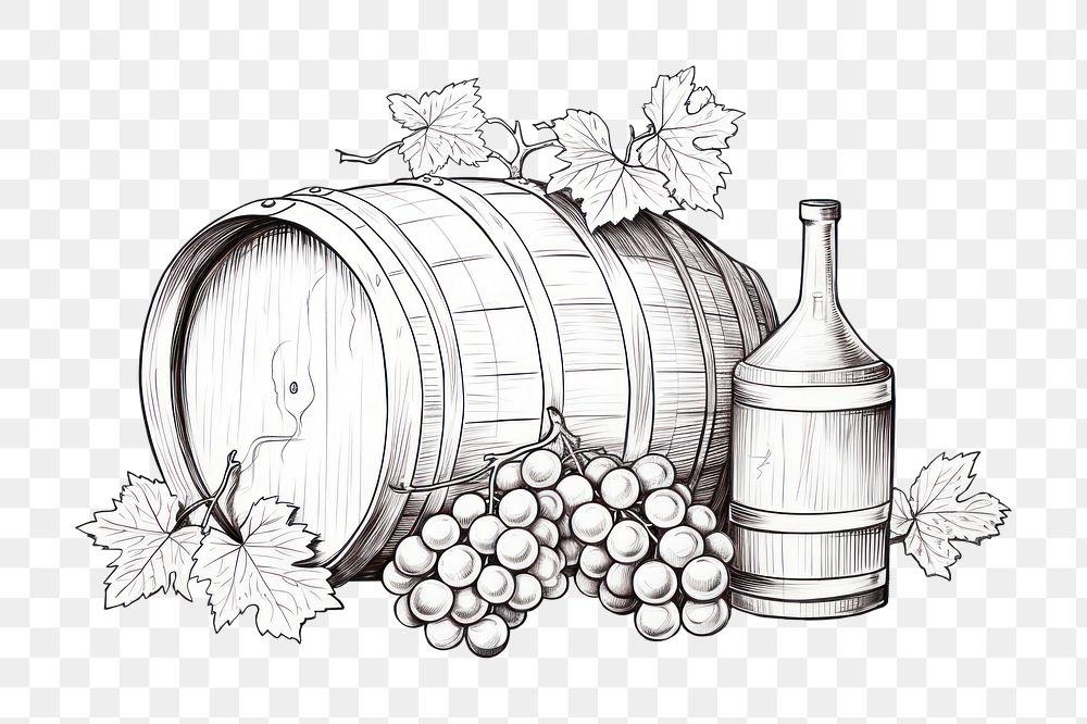 PNG Drawing sketch barrel grape. AI generated Image by rawpixel.