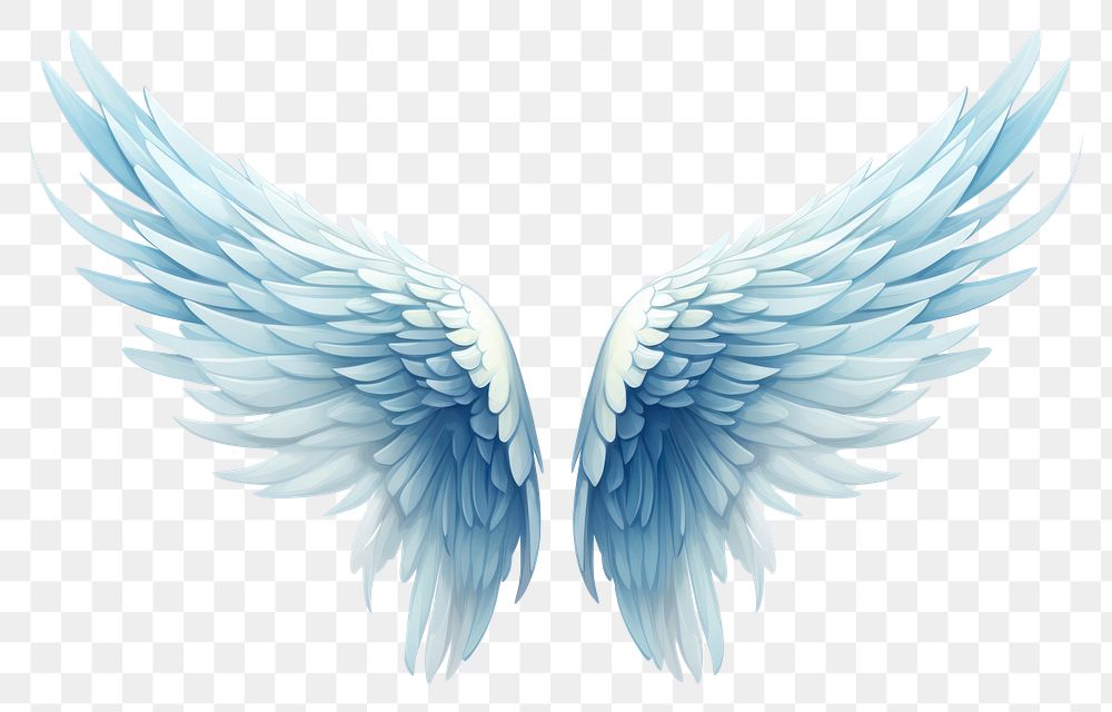 PNG A spreading angle wing angel white background archangel. 
