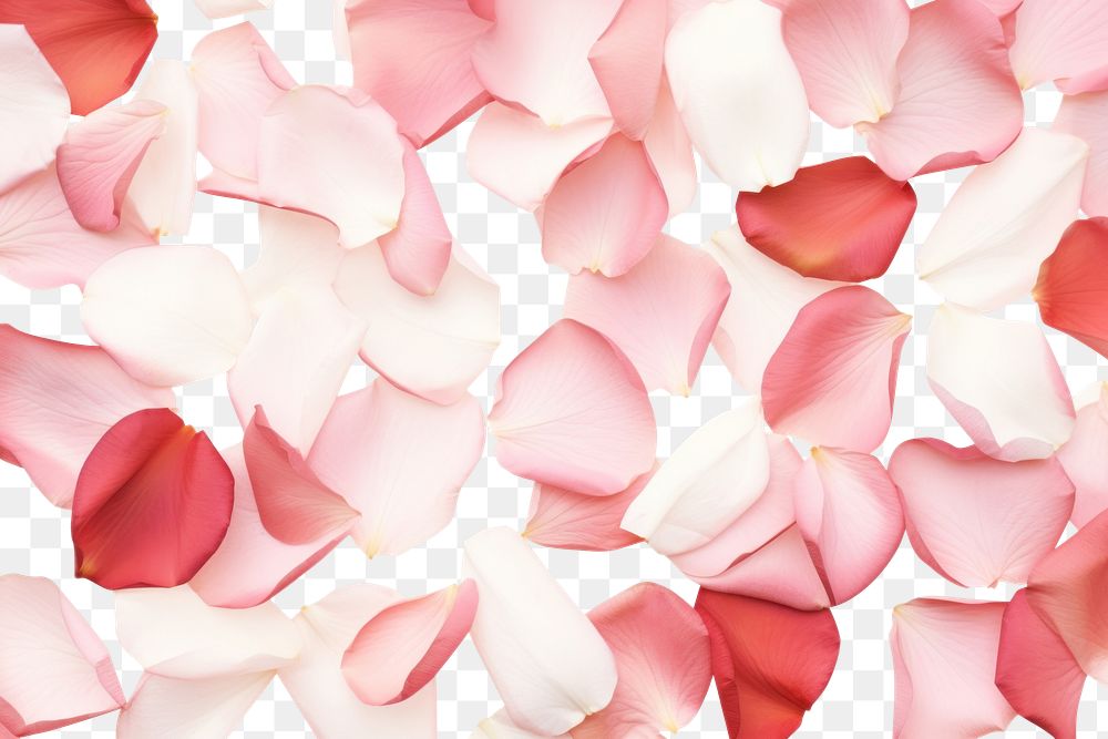 PNG Rose petals background. AI generated Image by rawpixel.