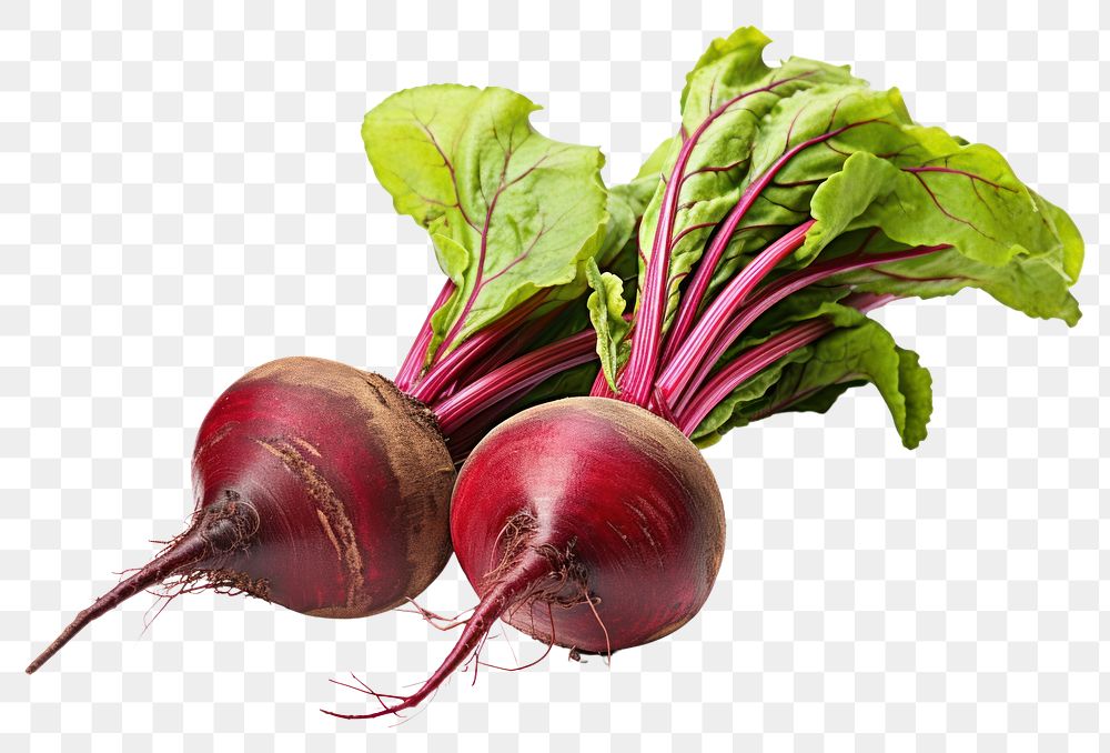 PNG Beetroots vegetable plant food. AI generated Image by rawpixel.