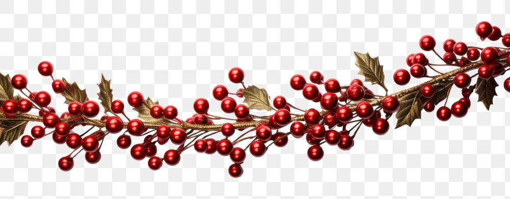 PNG  Christmas garland christmas jewelry cherry