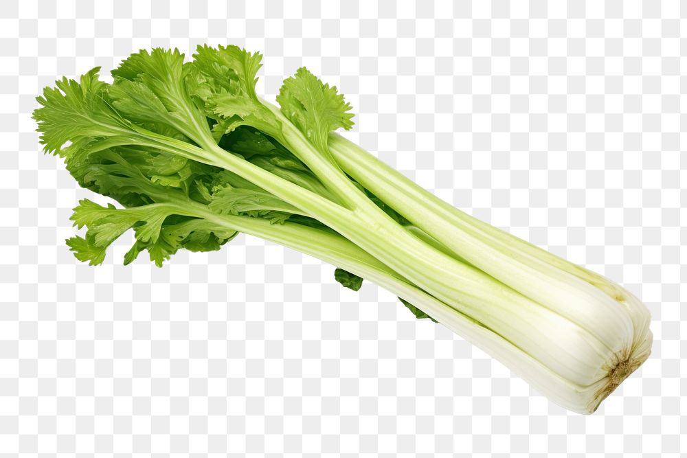 PNG  Celery vegetable plant herbs. AI generated Image by rawpixel.