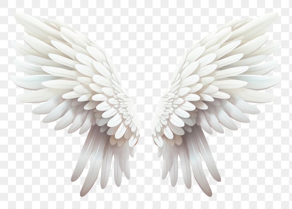 PNG White Angel Wings And | Premium PNG - rawpixel