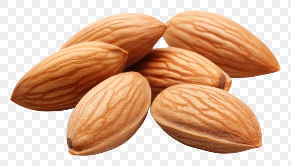 PNG  Three Almonds almond food white background. AI generated Image by rawpixel.