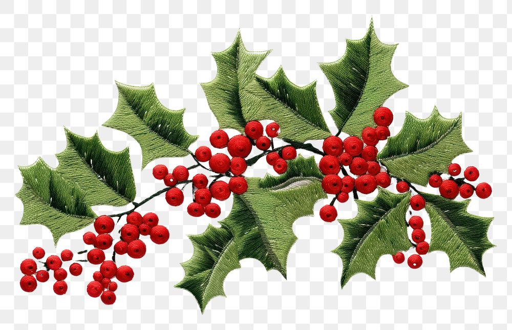 PNG Embroidery pattern holly plant. AI generated Image by rawpixel.