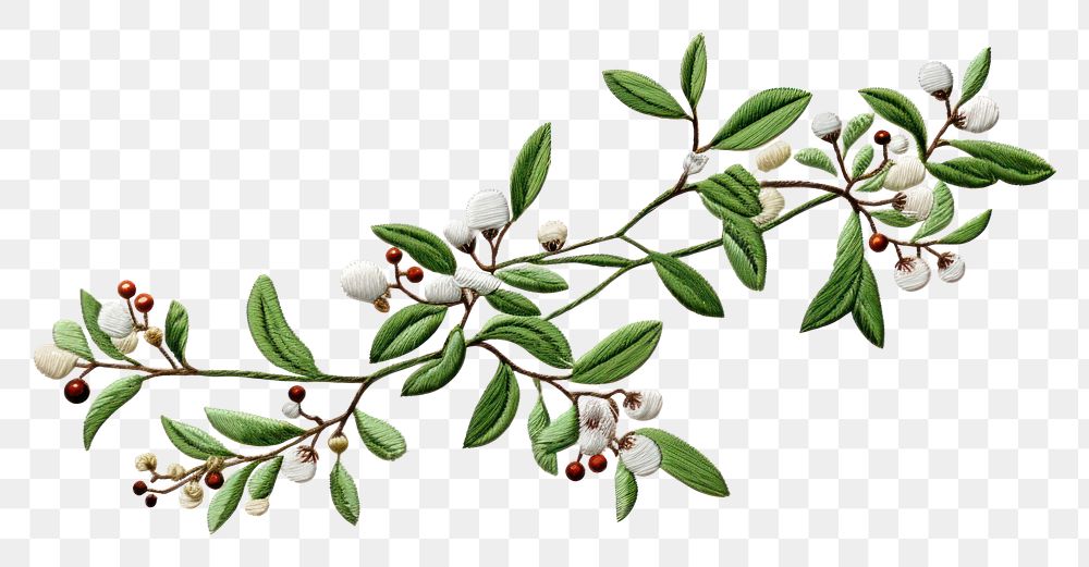 PNG Embroidery plant leaf freshness