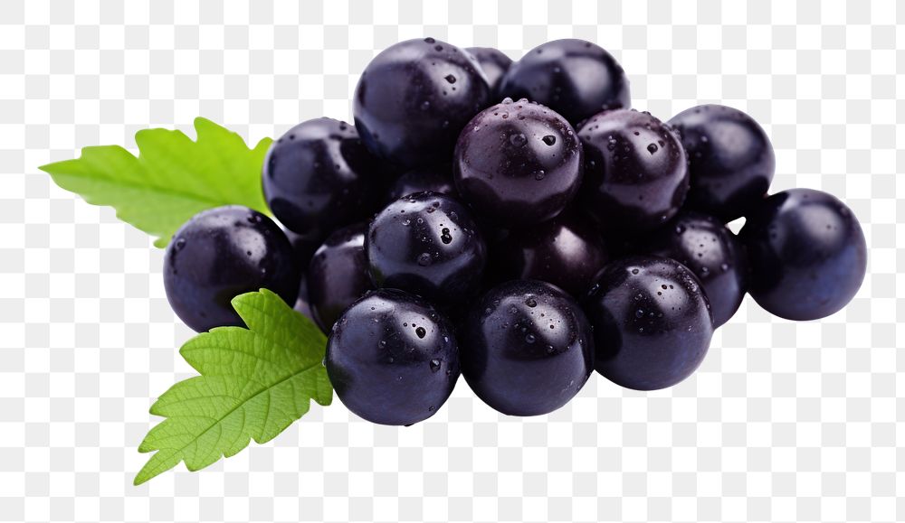 PNG Acai berry blueberry grapes fruit. 