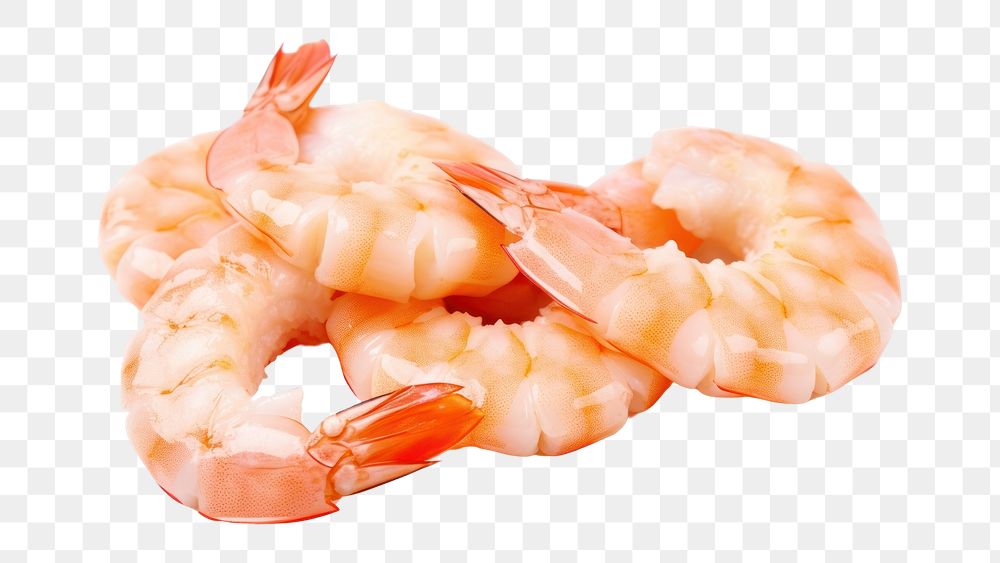 PNG Seafood shrimp animal invertebrate. AI generated Image by rawpixel.