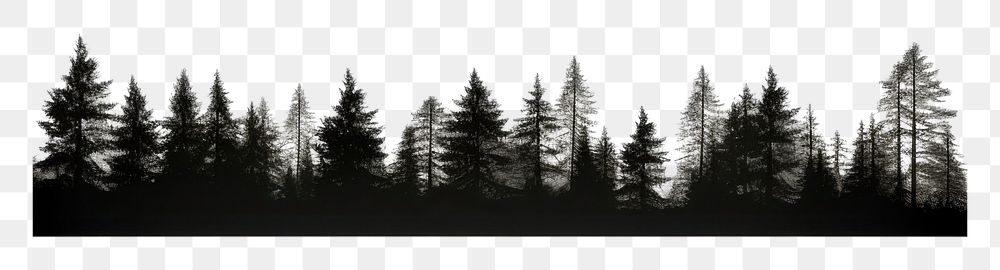 PNG  Black shadow pine trees Panorama pine trees horizon outdoors nature forest. .