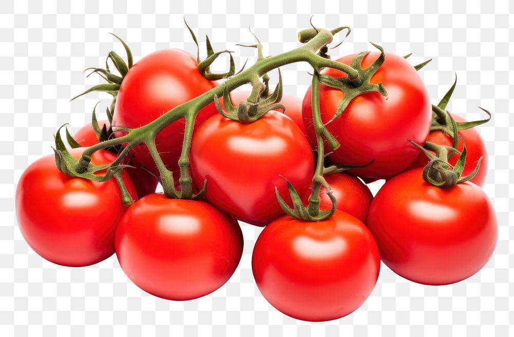 PNG Vegetable tomato fruit plant. AI generated Image by rawpixel.
