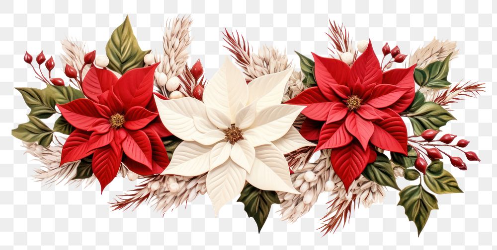 PNG  Christmas flower border christmas plant white background