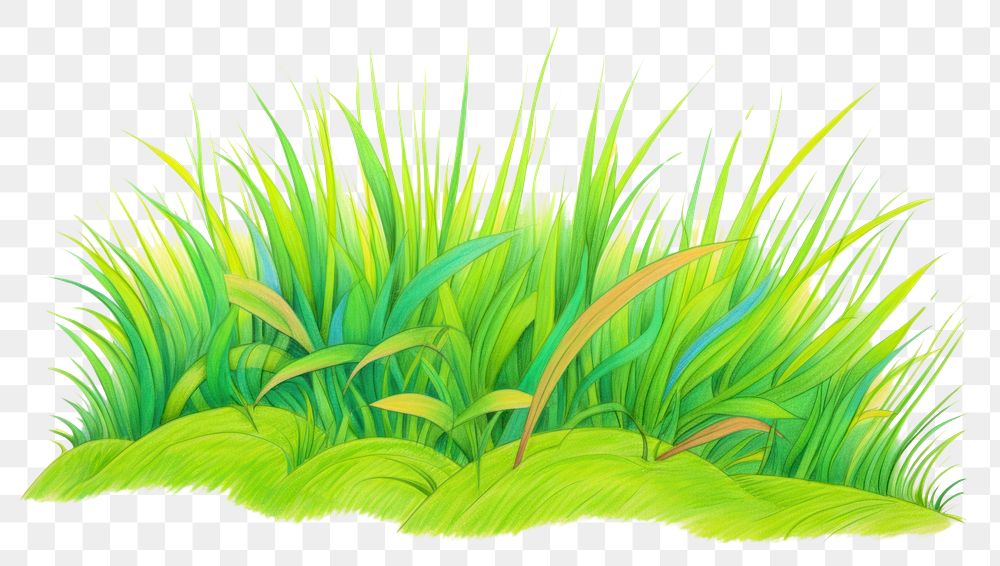 PNG Grass drawing plant green. AI generated Image by rawpixel.