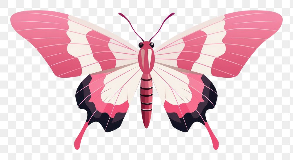 PNG A Oleander Hawk Moth insect moth butterfly. AI generated Image by rawpixel.