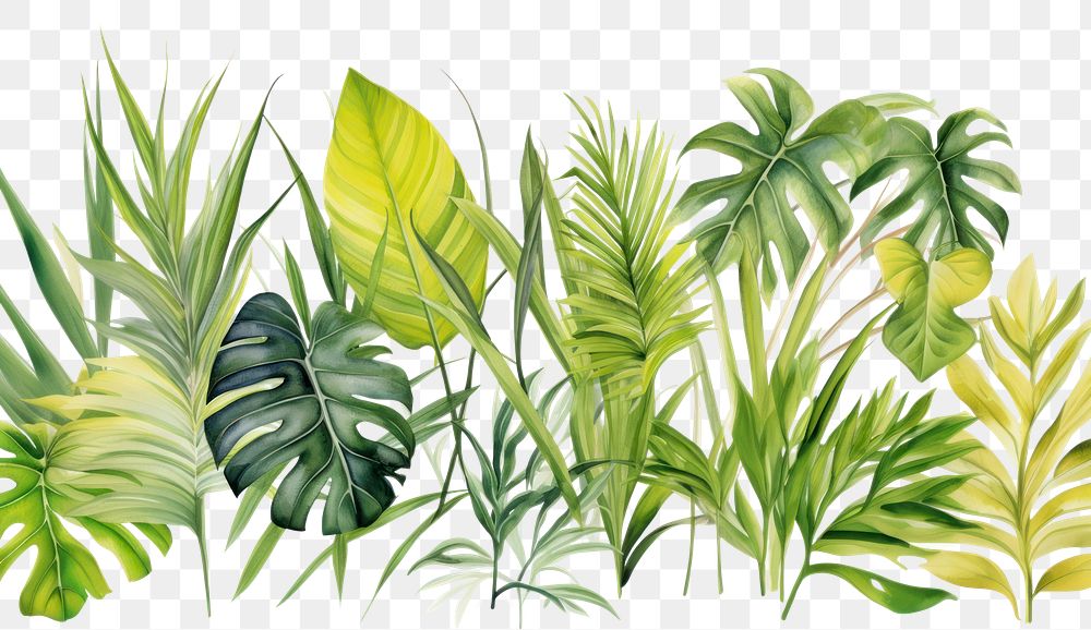 PNG  Tropical leaves backgrounds nature plant. AI generated Image by rawpixel.
