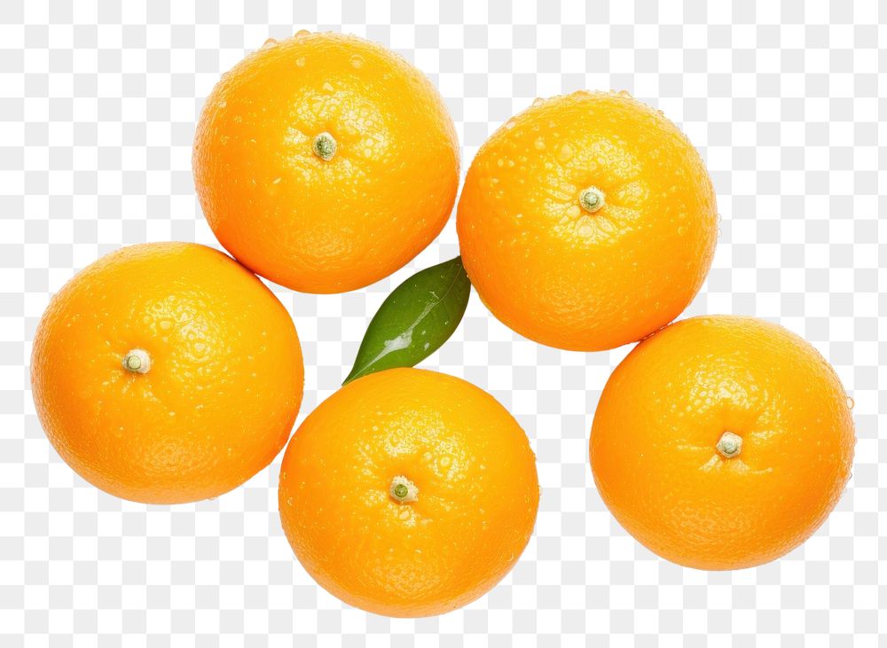 PNG Grapefruit orange plant food. AI generated Image by rawpixel.
