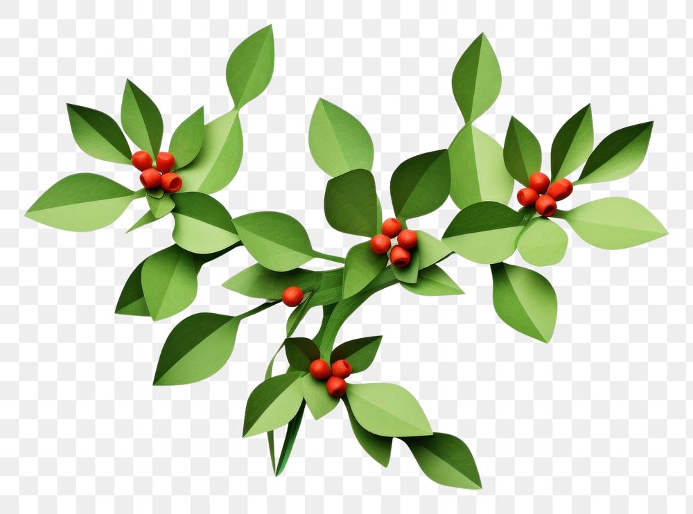 PNG  Mistletoe plant leaf food. AI generated Image by rawpixel.