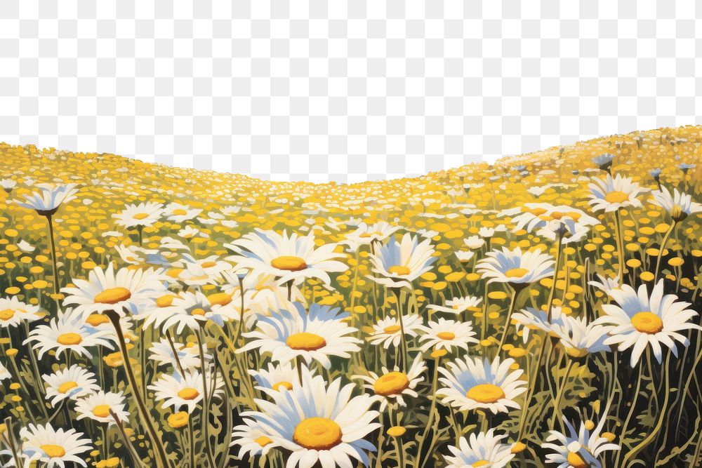 PNG Daisy flower field landscape grassland outdoors. AI generated Image by rawpixel.