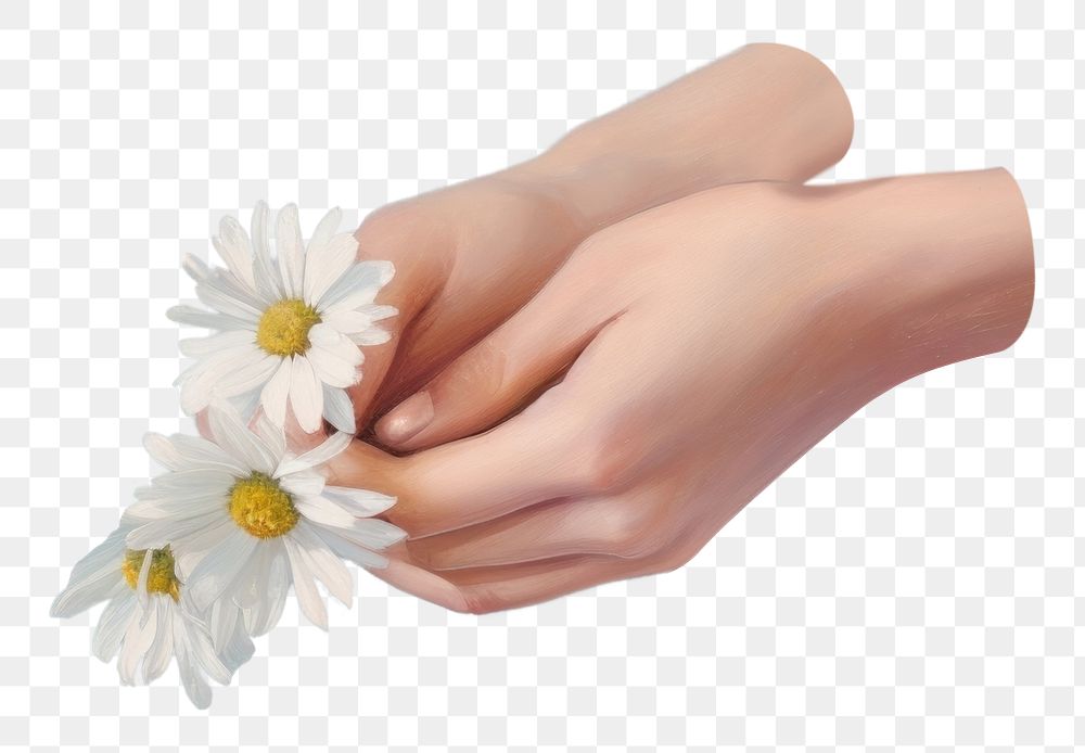 PNG Daisy hand painting holding. AI generated Image by rawpixel.