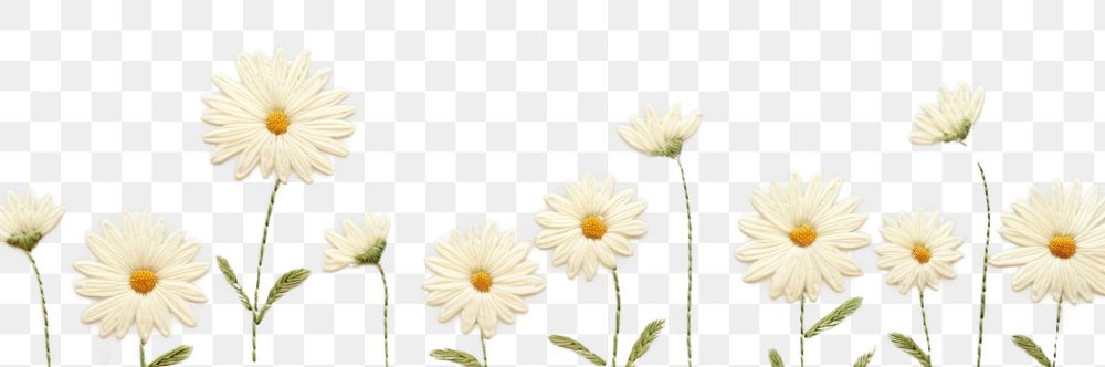 PNG Little white Daisy daisy backgrounds pattern. AI generated Image by rawpixel.