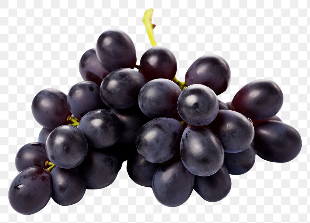 PNG  Black grapes fruit plant food. AI generated Image by rawpixel.
