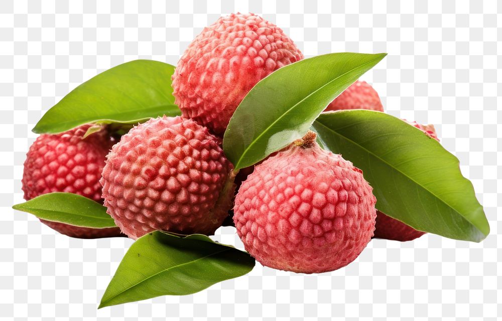 PNG  Lychees raspberry fruit plant. AI generated Image by rawpixel.