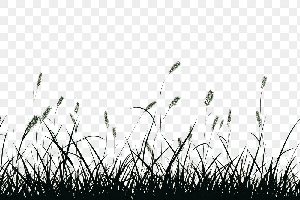 PNG  Grass silhouette outdoors nature. AI generated Image by rawpixel.