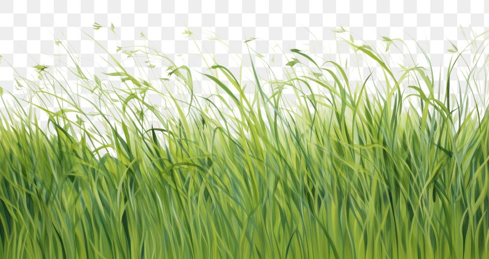 PNG  Grass backgrounds outdoors nature. AI generated Image by rawpixel.
