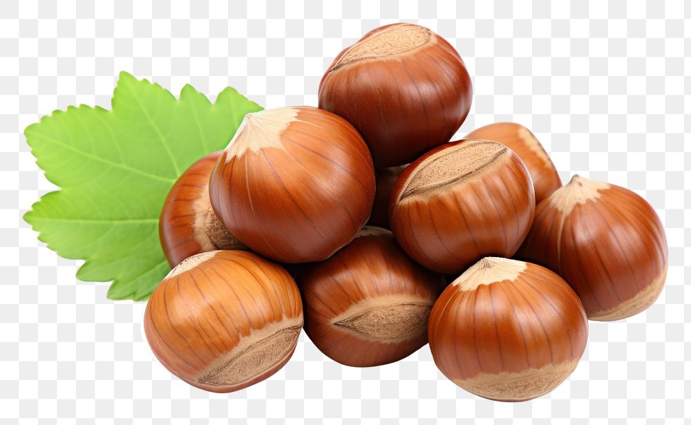 PNG  Hazelnuts vegetable plant food. AI generated Image by rawpixel.