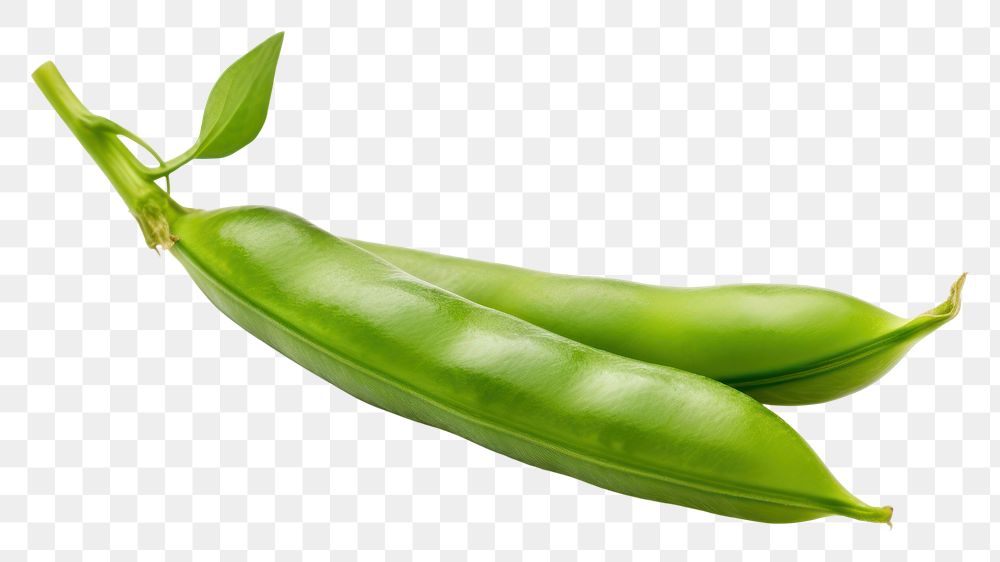 PNG A vibrant green pea pod vegetable plant food. AI generated Image by rawpixel.
