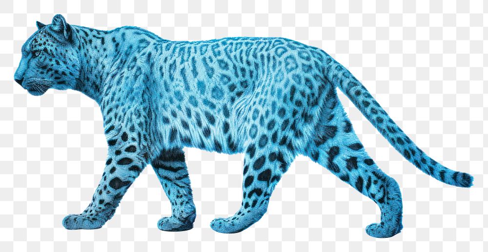 PNG Leopard wildlife animal mammal. AI generated Image by rawpixel.