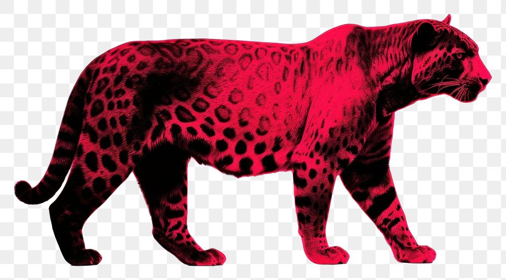 Pink Leopard Wallpaper Images  Free Photos, PNG Stickers, Wallpapers &  Backgrounds - rawpixel