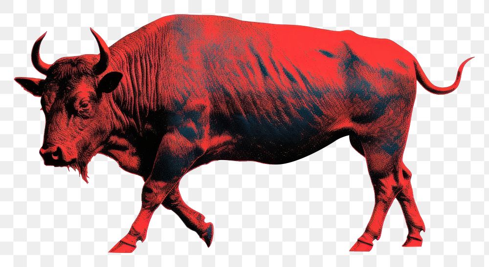 PNG Livestock wildlife cattle animal. AI generated Image by rawpixel.