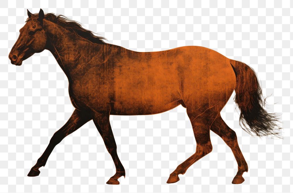 PNG A running horse stallion animal mammal. AI generated Image by rawpixel.