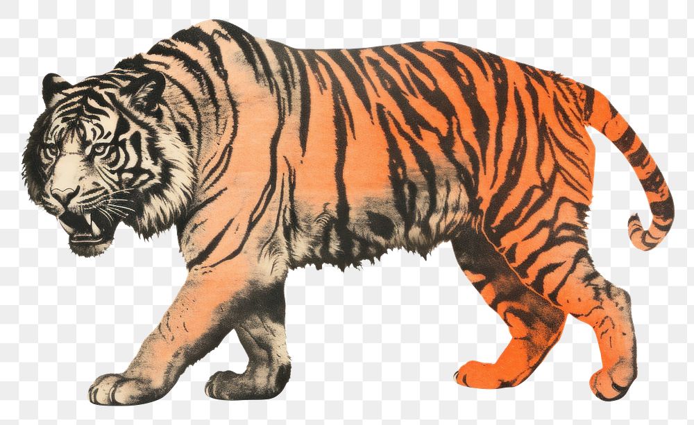 PNG A running tiger wildlife animal mammal. AI generated Image by rawpixel.