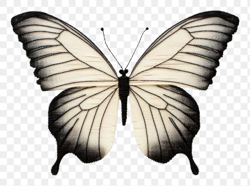PNG Butterfly animal insect sketch. AI generated Image by rawpixel.