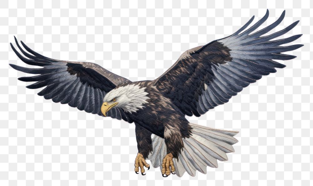 PNG Bird animal flying eagle. AI generated Image by rawpixel.
