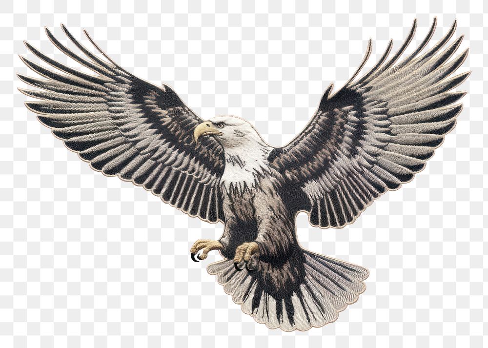 PNG Bird animal flying eagle. AI generated Image by rawpixel.