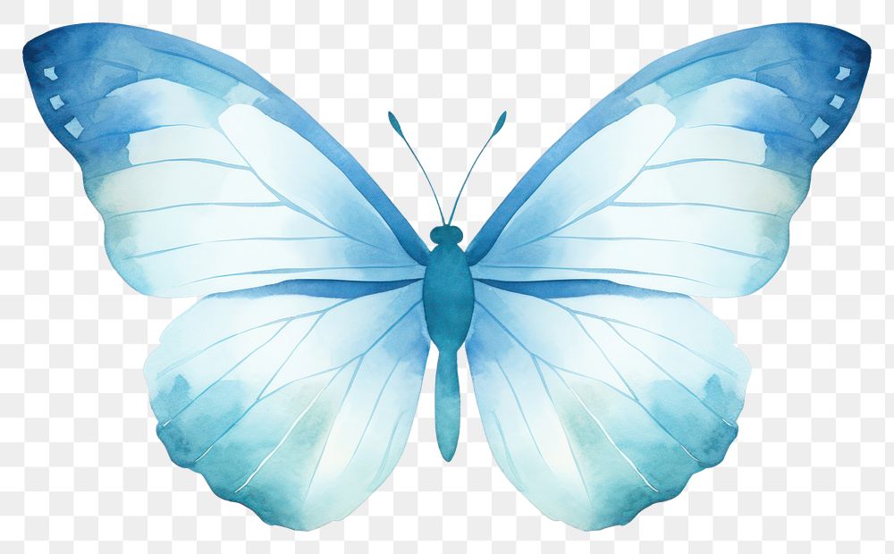 PNG  Cute butterflie butterfly insect animal. AI generated Image by rawpixel.