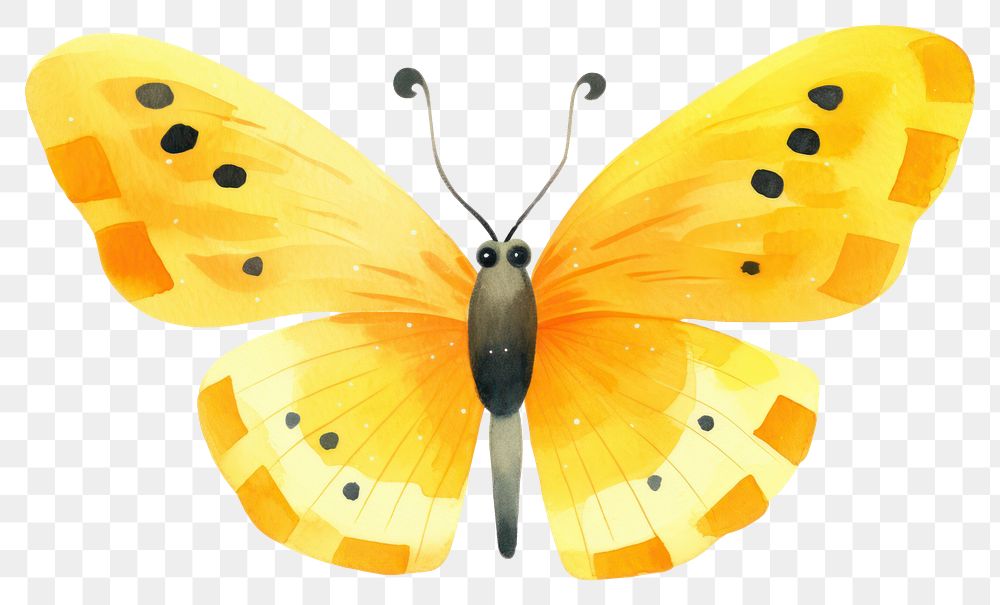 PNG  Cute butterflie butterfly insect animal. AI generated Image by rawpixel.