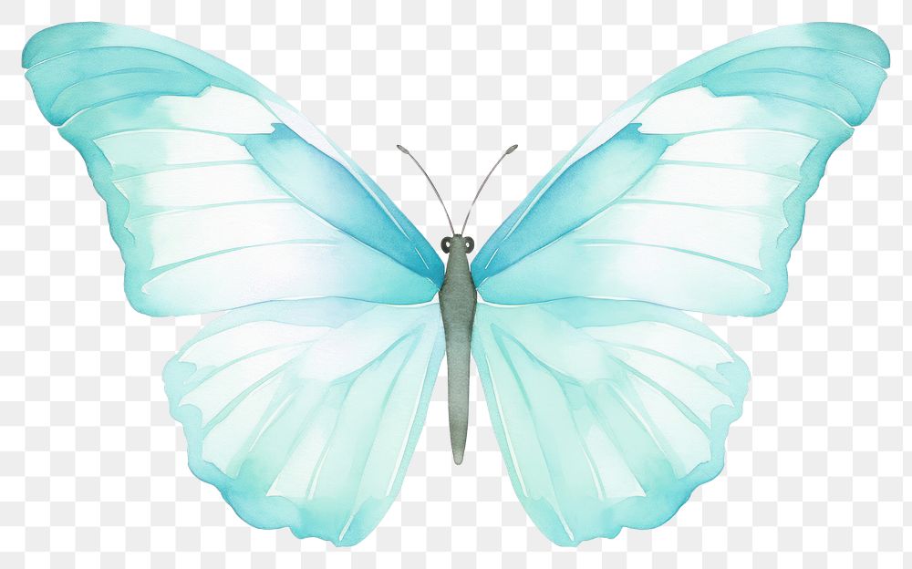PNG blue butterfly, watercolor element, transparent background