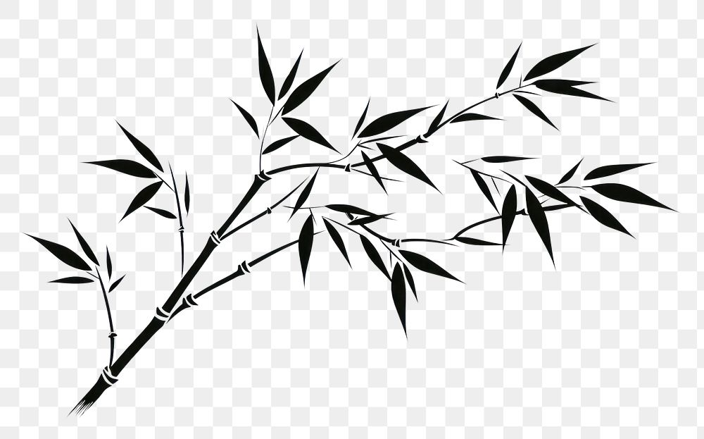 PNG Bamboo internode plant leaf white background. AI generated Image by rawpixel.