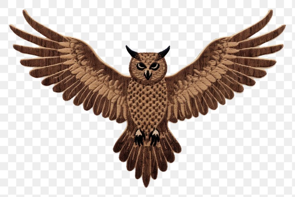PNG  Brown night owl animal flying bird. AI generated Image by rawpixel.