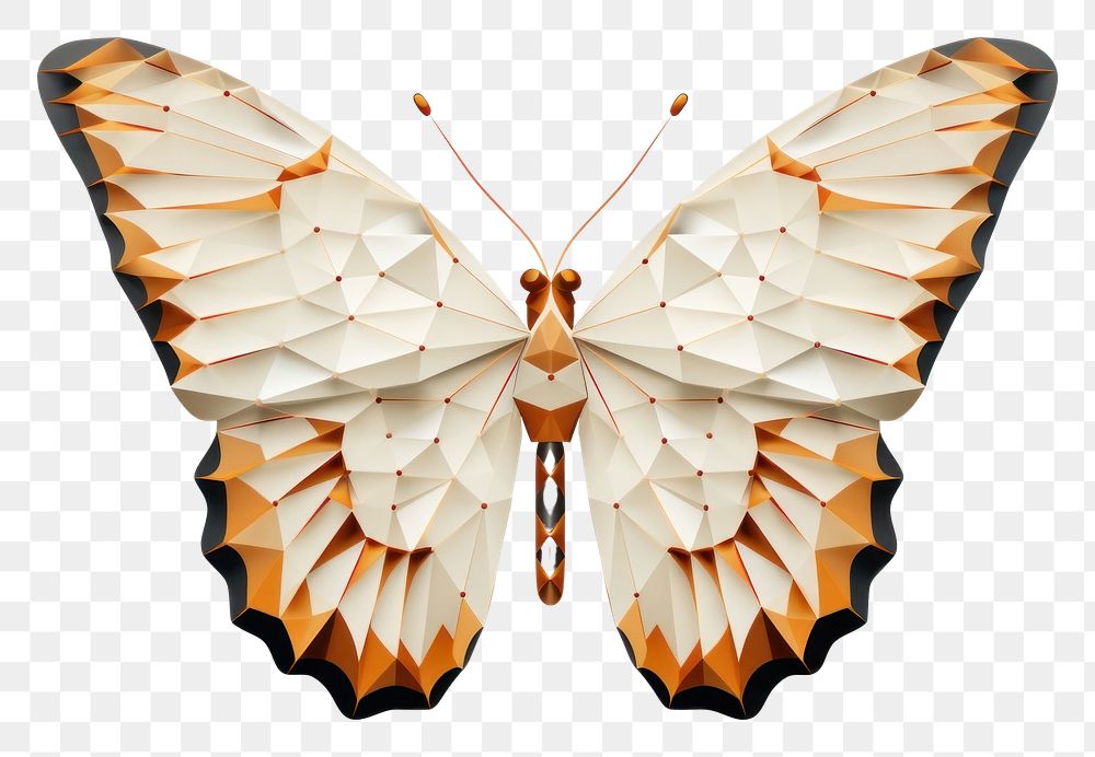 PNG Butterfly animal insect moth. AI generated Image by rawpixel.