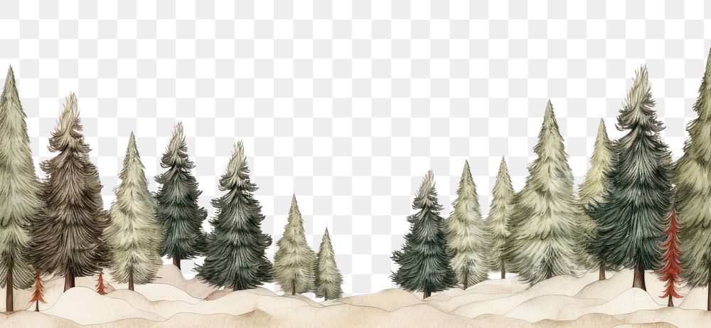 PNG Christmas trees backgrounds plant white
